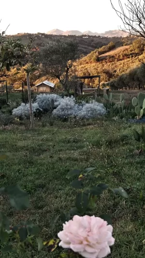 Camping44, Loro Piceno, Het was zondag